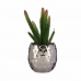 Dekorativ Plante Kaktus Keramikk Plast 10 x 20 x 10 cm (6 enheter)