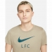 Lühikeste varrukatega T-särk, naiste Nike Liverpool FC Pruun