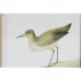 Malba DKD Home Decor Ptáci Cottage 30 x 2 x 30 cm (6 kusů)