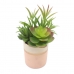 Decorative Plant Versa Ceramic Plastic 12,7 x 15,75 x 12,7 cm