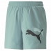 Sport shorts til mænd Puma Ess+ Logo Power Cat For All Time Akvamarin Blå Grøn