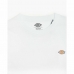 Short Sleeve T-Shirt Dickies Mapleton  White Men
