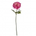 Dekorativ blomst Georginer Fuksia 16 x 74 x 16 cm (6 enheter)