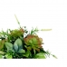Decoratieve plant Fluitglas Plastic 25 x 36 x 25 cm (4 Stuks)