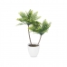 Decoratieve plant Palmboom Plastic 36 x 55,5 x 24 cm (6 Stuks)
