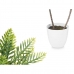 Plantă decorativă Palmier Plastic 36 x 55,5 x 24 cm (6 Unități)