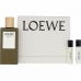 Men's Perfume Set Loewe Esencia 3 Pieces