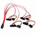 Kabel SATA Startech SAS808782P50        
