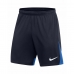 Pantalones Cortos Deportivos para Niños Nike ACDPR SS TOP DH9287 451 Azul marino