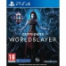 PlayStation 4 videomäng Square Enix Outriders Worldslayer