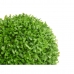 Decoratieve plant Lakens Klot Plastic 27 x 27 x 27 cm (6 Stuks)