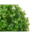 Dekorativ plante Cvetlice Ark Krogla Plastik 17 x 17 x 17 cm (12 enheder)