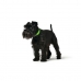 Dog collar Hunter Convenience 23-31 cm Green XS/S