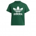 Camiseta de Manga Corta Hombre Adidas TREFOIL TEE IB7424  Verde