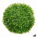 Dekorativ plante Ark Krogla Plastik 22 x 22 x 22 cm (8 enheder)