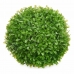 Dekorativ plante Ark Krogla Plastik 22 x 22 x 22 cm (8 enheder)