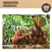Puslespil Colorbaby Orangutan 6 enheder 68 x 50 x 0,1 cm