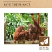 Puslespill Colorbaby Orangutan 6 enheter 68 x 50 x 0,1 cm