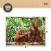 Puzzle Colorbaby Orangutan 6 kusov 68 x 50 x 0,1 cm