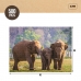 Puslespill Colorbaby Elephant 500 Deler 6 enheter 61 x 46 x 0,1 cm