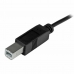 Kabel USB C na USB B Startech USB2CB2M Černý 2 m Vícebarevný