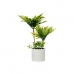Decoratieve plant Palmboom Plastic Cement 12 x 45 x 12 cm (6 Stuks)