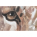 Slika Home ESPRIT Kolonialno Tiger 80 x 3,7 x 100 cm (2 kosov)