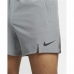 Herren-Sportshorts Nike Pro Dri-FIT Flex Grau