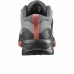 Dámske športové topánky Salomon X Ultra 4 Gore-Tex Sivá Hora