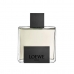 Moški parfum Loewe EDP Solo Mercurio 100 ml
