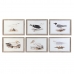 Painting DKD Home Decor 70 x 2,5 x 50 cm Traditional Birds (6 Pieces)