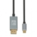 Adaptateur USB C vers DisplayPort Ibox ITVCDP4K Noir 1,8 m