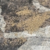 Slika DKD Home Decor 120 x 4 x 90 cm Loft Zemljevid Sveta (2 kosov)