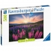 Puzzle Ravensburger 17492 Lupines 500 Pieces