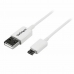 Câble USB vers micro USB Startech USBPAUB1MW Blanc 1 m