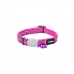 Collar para Perro Red Dingo STYLE STARS LIME ON HOT PINK 41-63 cm