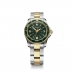 Мужские часы Victorinox V241612 Зеленый