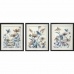 Painting DKD Home Decor 50 x 2 x 60 cm Flowers Shabby Chic (3 Pieces)