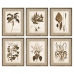 Maleri DKD Home Decor 55 x 2,5 x 70 cm Moderne Botaniske planter (6 Dele)