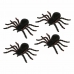 pavúk Čierna (4 kusov)