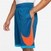 Vyriški krepšinio šortai Nike Dri-Fit Mėlyna