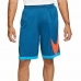 Calções de Basquetebol para Homem Nike Dri-Fit Azul