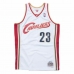 t-shirt de basket Mitchell & Ness Cleveland Cavaliers 2008-09 Nº23 Lebron James Blanc
