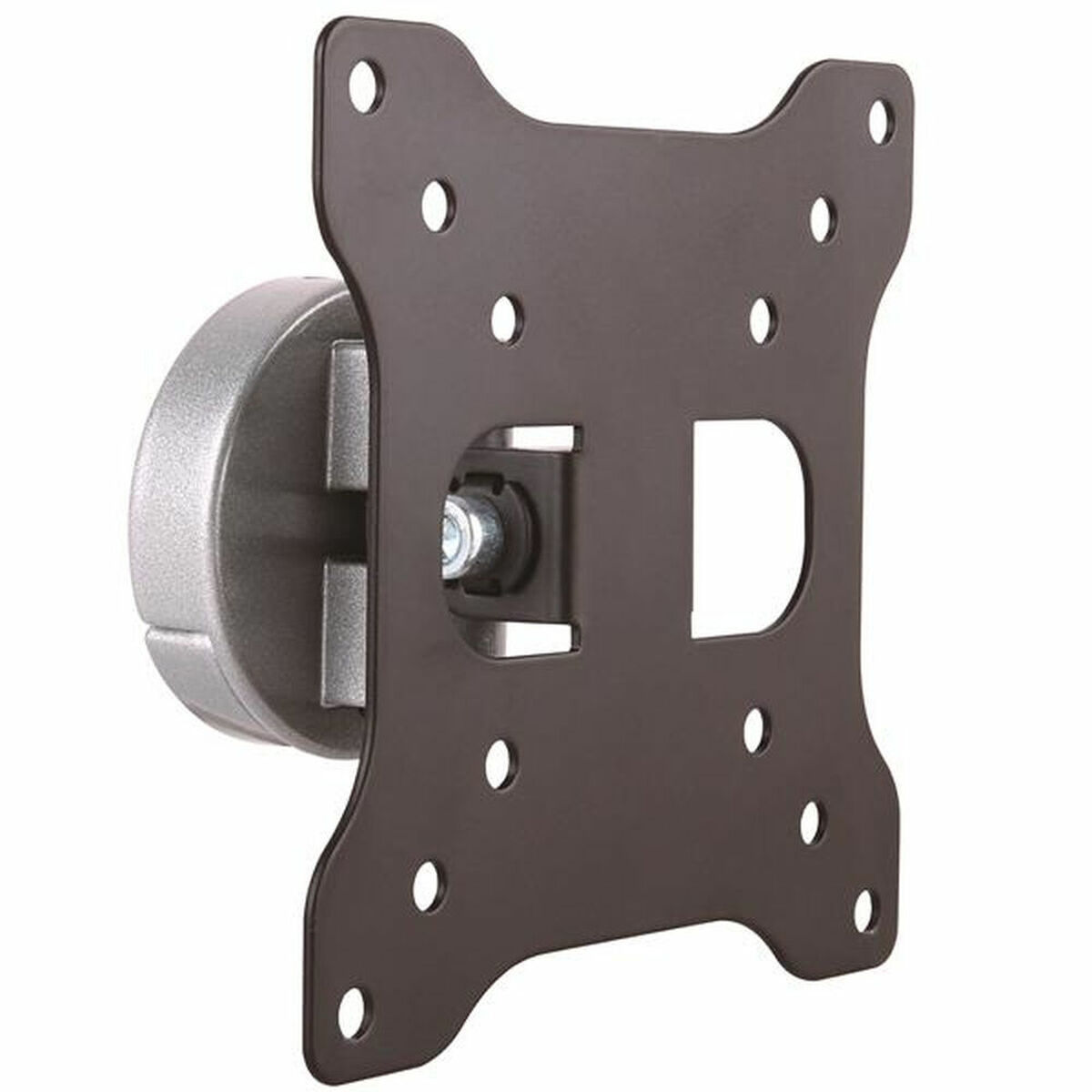 TV-Montering Startech ARMWALL