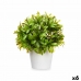 Decoratieve plant Plastic 17 x 17 cm (6 Stuks)