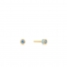 Øreringe til kvinder Ania Haie E028-01G-B 0,5 cm