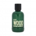 Meeste parfümeeria Dsquared2 EDT Green Wood 100 ml