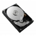 Cietais Disks Dell 161-BBRX 8 TB HDD