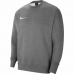 Sweatshirt til Børn PARK 20 FLEECE CREW  Nike CW6904 071 Grå