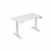 Stůl Gaming Newskill Belenor Pro Bílý 120 x 60 x 72 cm
